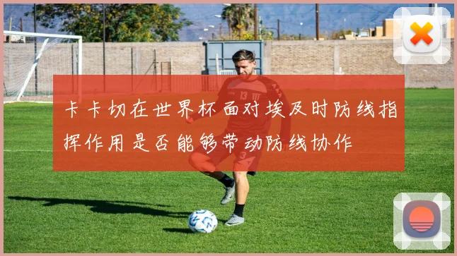卡卡切在世界杯面对埃及时防线指挥作用是否能够带动防线协作
